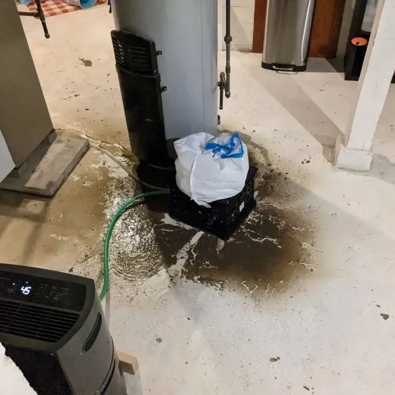 Sewage Backup Cleanup Service in Broadus, MT